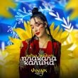 Polina Dashkova – Плакала Калина (Shnaps Remix)