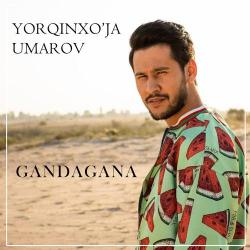 Yorqinxo'ja Umarov – Dilorom (Cover)
