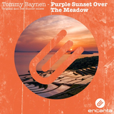 Tommy Baynen – Purple Sunset Over The Meadow (Bee Hunter Remix)