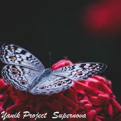 Yanik Project – Ultimate Perfect
