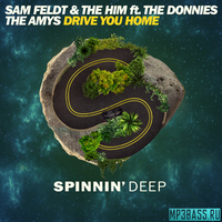 Sam Feldt & The Him feat. The Donnies The Amys