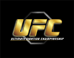 UFC – Адам Борода