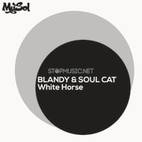 Blandy & Soul Cat