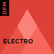 DFM Electro - Россия